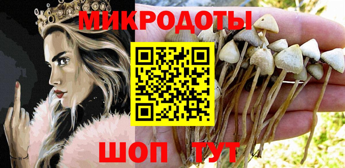 Галлюциногенные грибы GOLDEN TEACHER Канаш